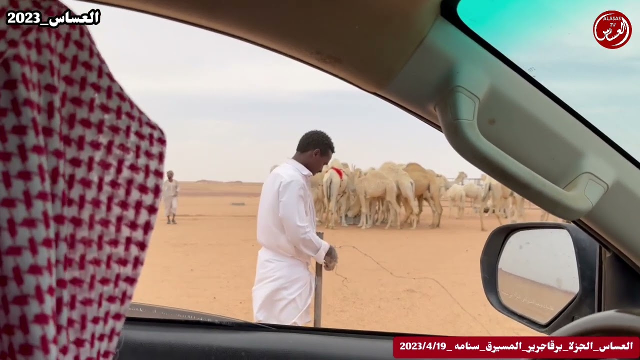 العساس الجزلا برقا جرير المسيرق
