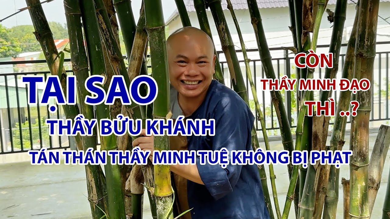 TẠI SAO THẦY BỬU KHÁNH TÁN THÁN THẦY MINH TUỆ KHÔNG BỊ PHẠT CÒN THẦY MINH ĐẠO THÌ ?