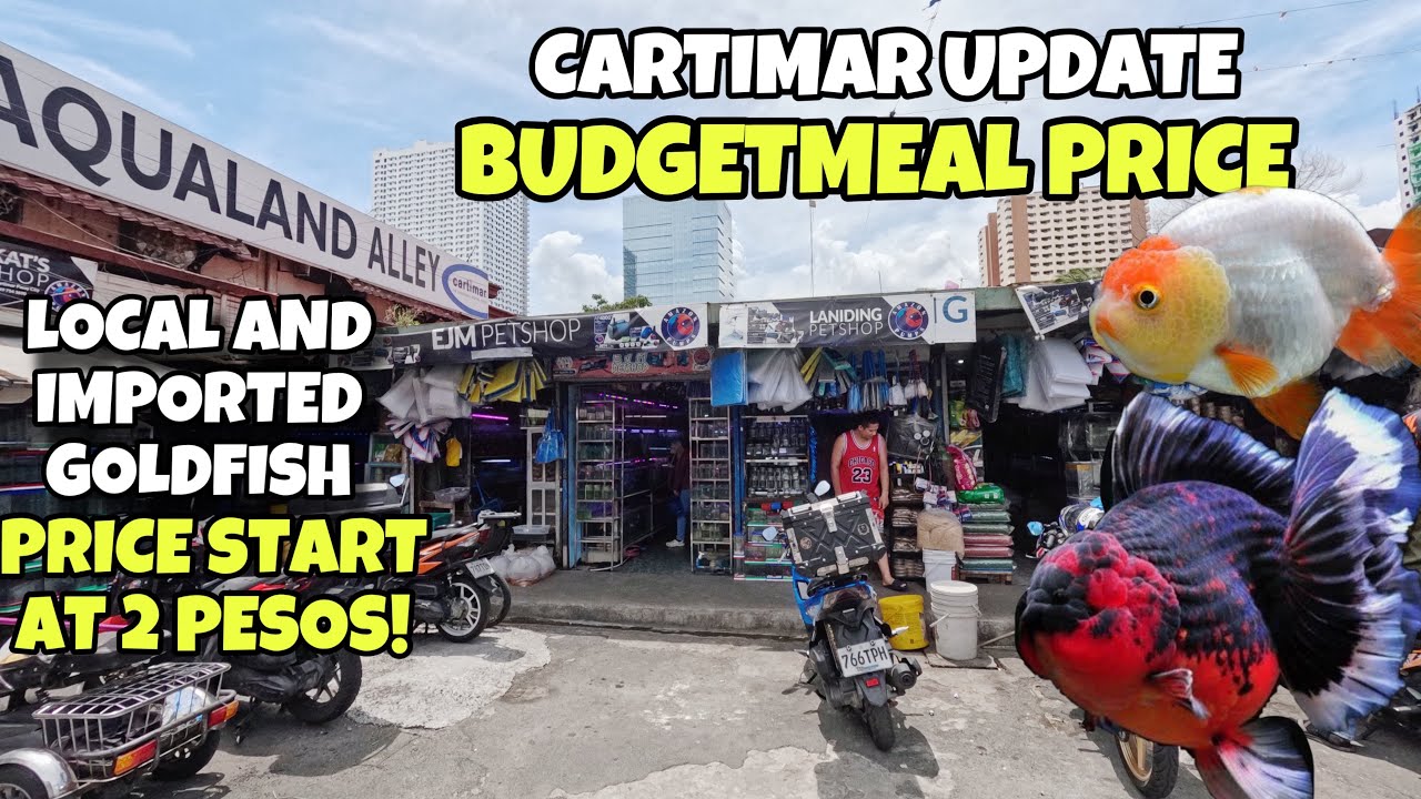 LATEST CARTIMAR FISH UPDATE|