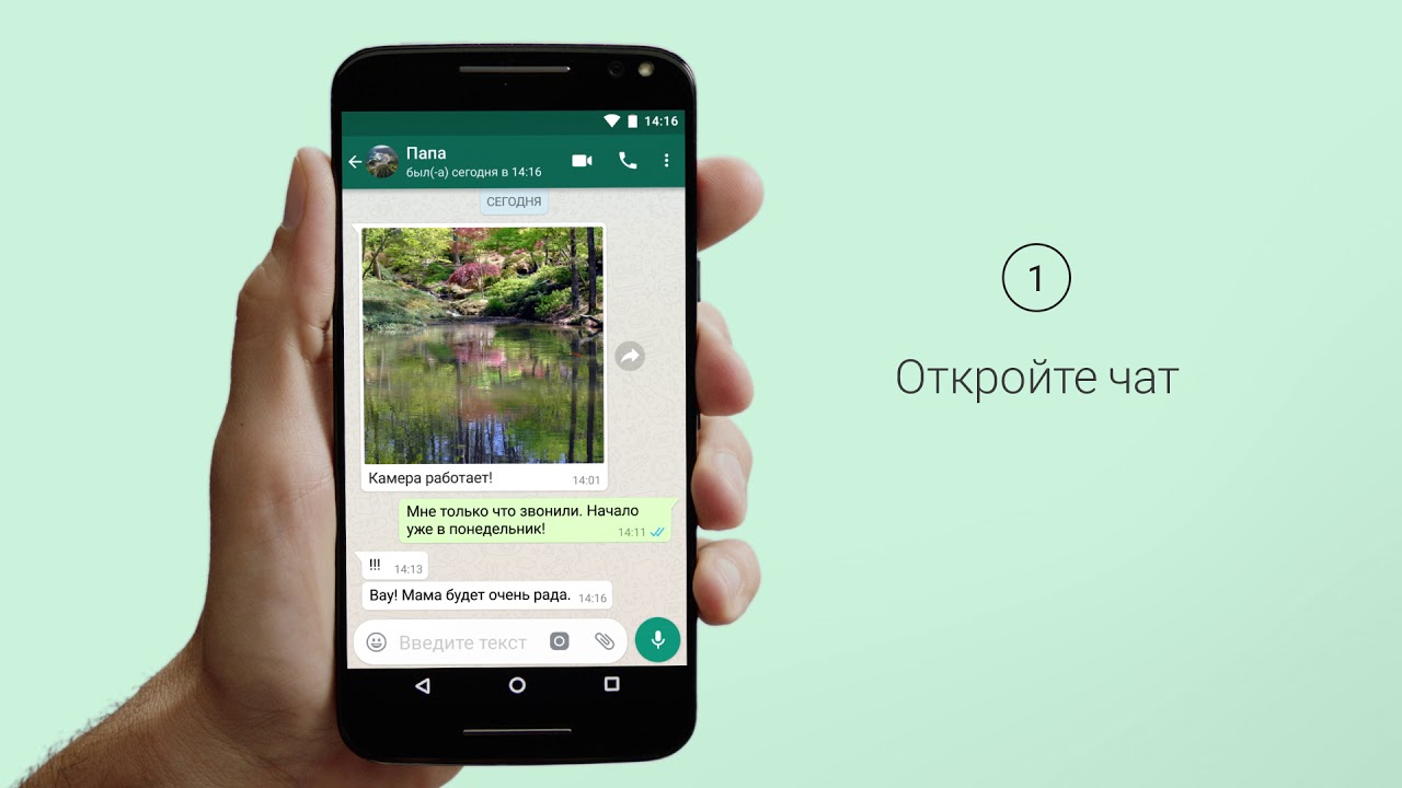 Как звонить по WhatsApp