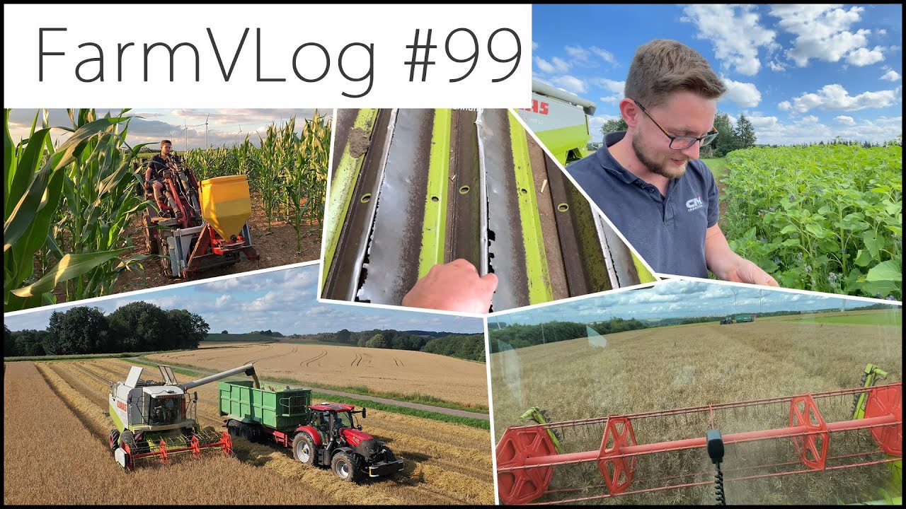 FarmVLOG#99: Es gab Bruch am LEXION / DINKEL & RAPS ERNTE 2021 / Blühflächen Eskalation