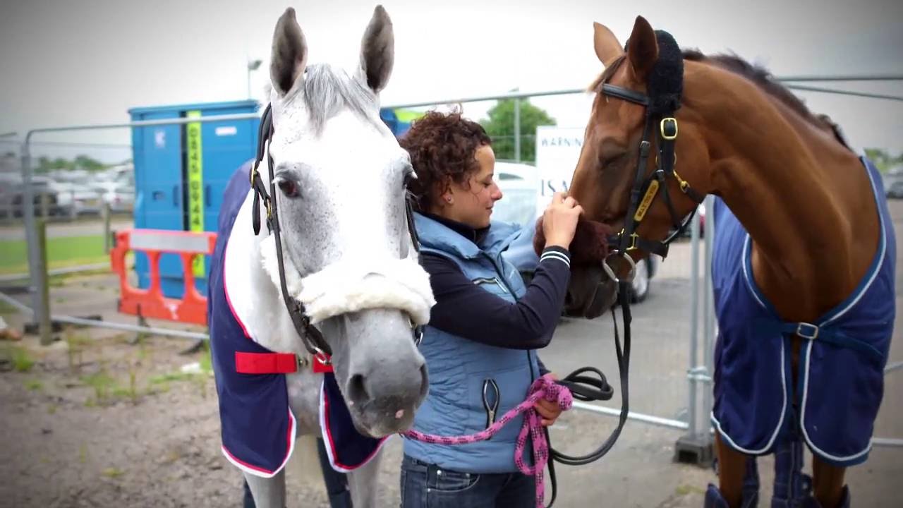 FLYING HORSES TO RIO