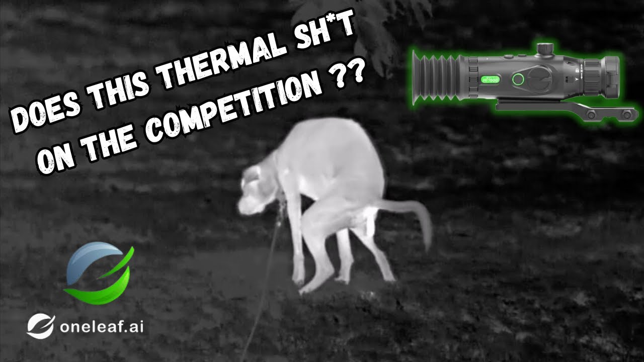Стоит ли приобретать тепловизор OneLeaf MT1000LRF в 2025 году?
