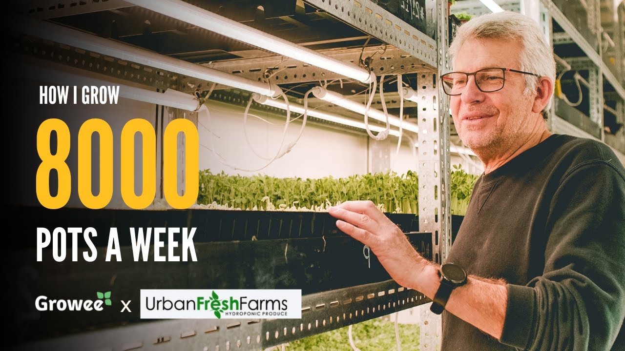 I Didn’t Leave My Farm for 7 Years Until Growee | Urban Fresh Farms Story on Hydroponics & Passion