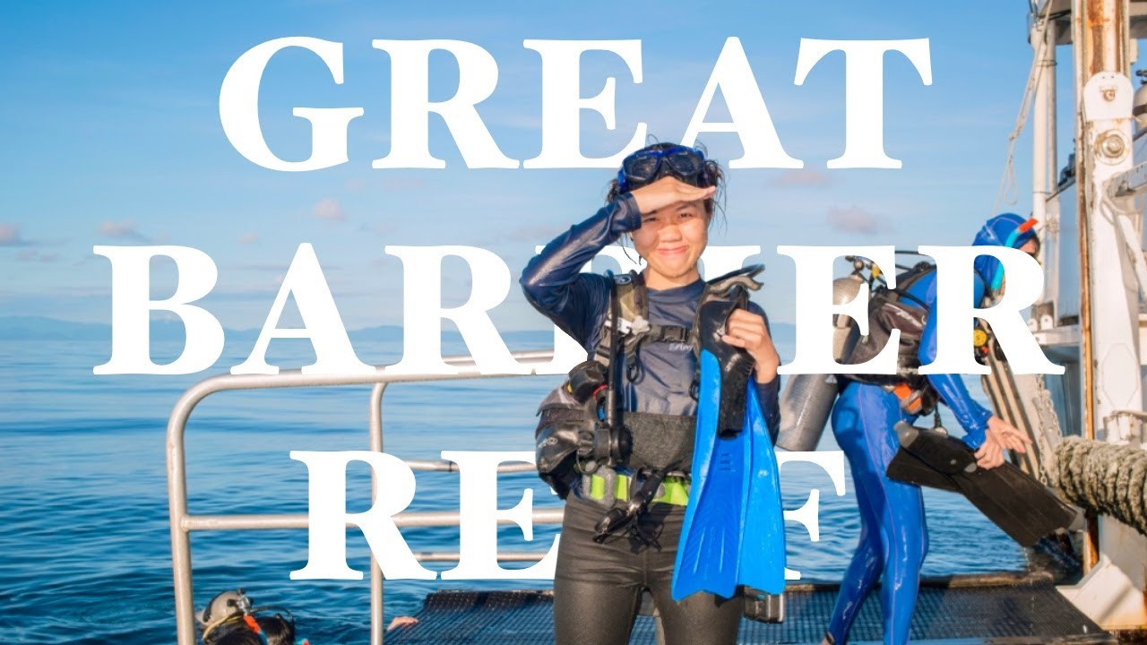 📍Great Barrier Reef Dive Trip🪸【渺滄海之一粟】三日兩夜大堡礁：船宿潛水初體驗🤿｜50 Days in Aus #2