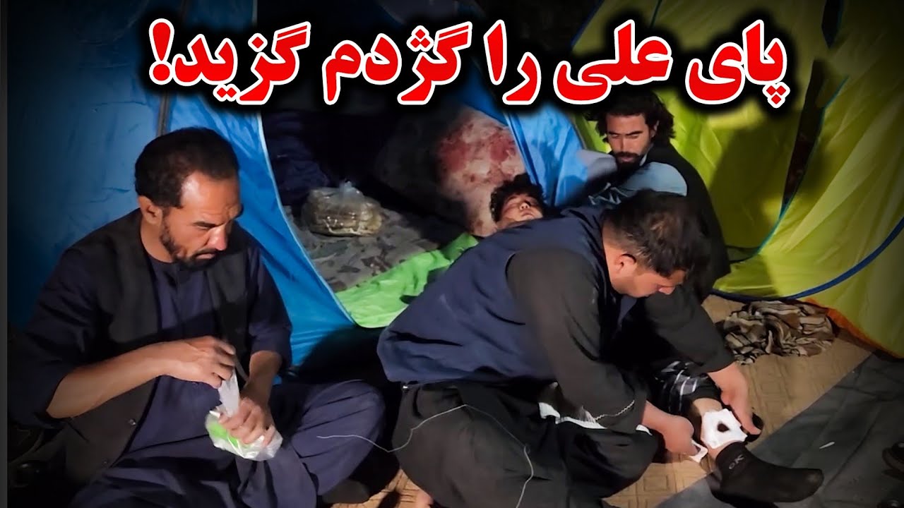 قابلی مزه دار برای نان شب و حادثه خطرناک بالای علی