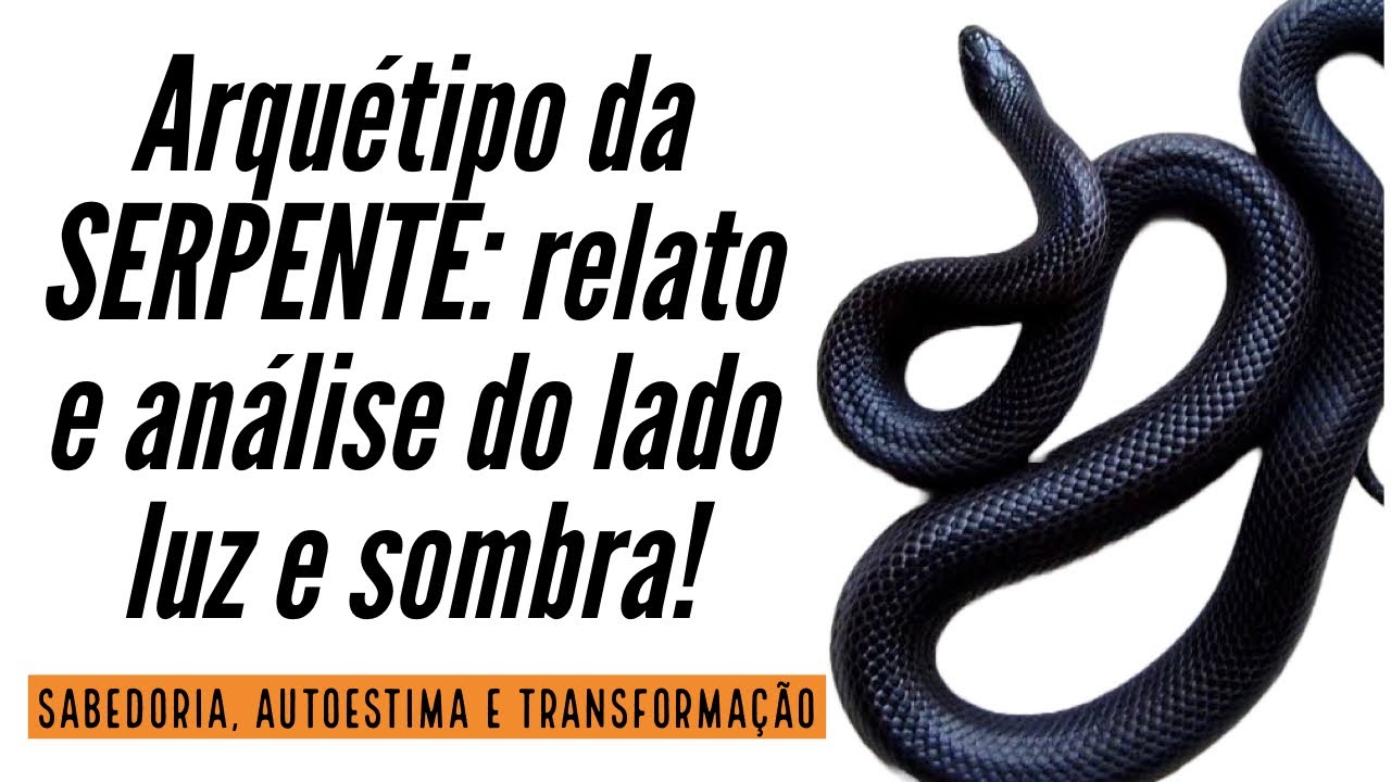 🐍 Vem saber a minha experiência com esse arquétipo! Conto a real! #arquetipos #arquetipo #cobra
