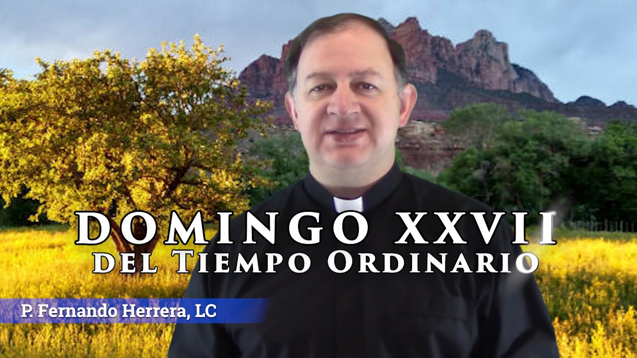 XXVII Domingo del Tiempo Ordinario - Ciclo C - Una fe que mueva montañas