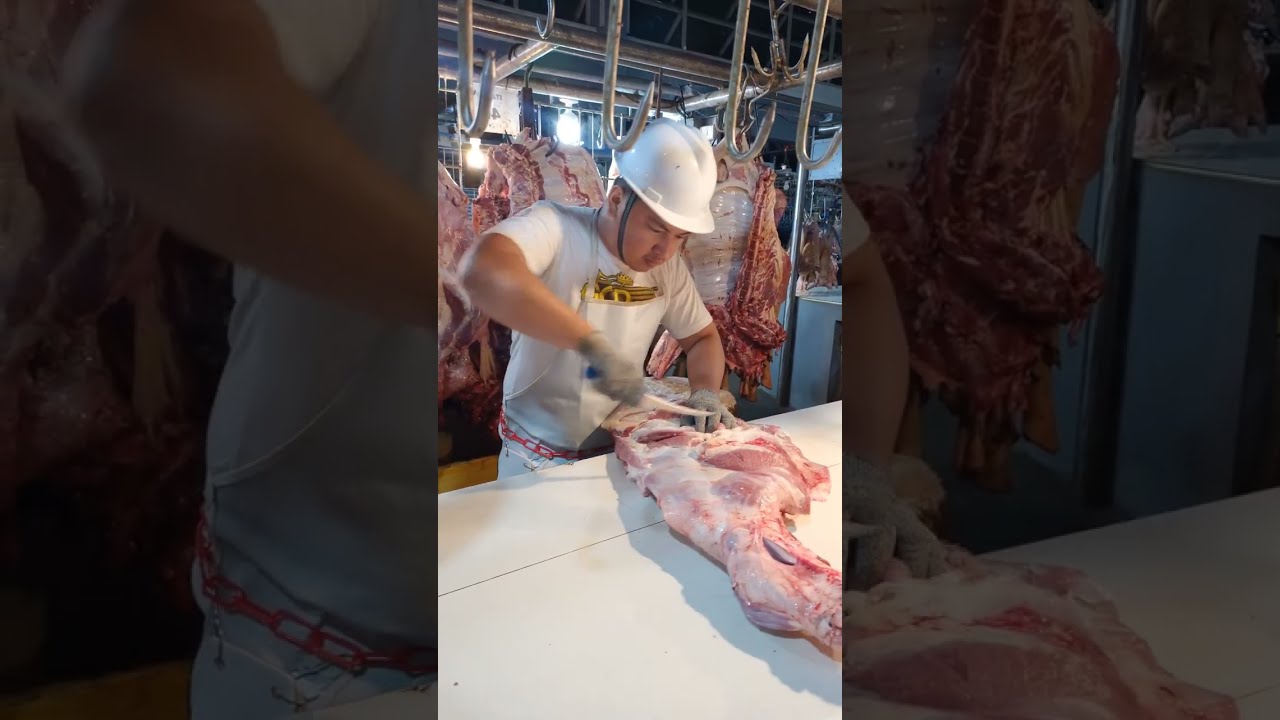 Beef carcass forequarter shoulder & front leg cut up and deboning