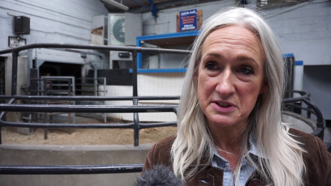 Ronan Kelly's Ireland:   mArtists in Athenry, Co  Galway