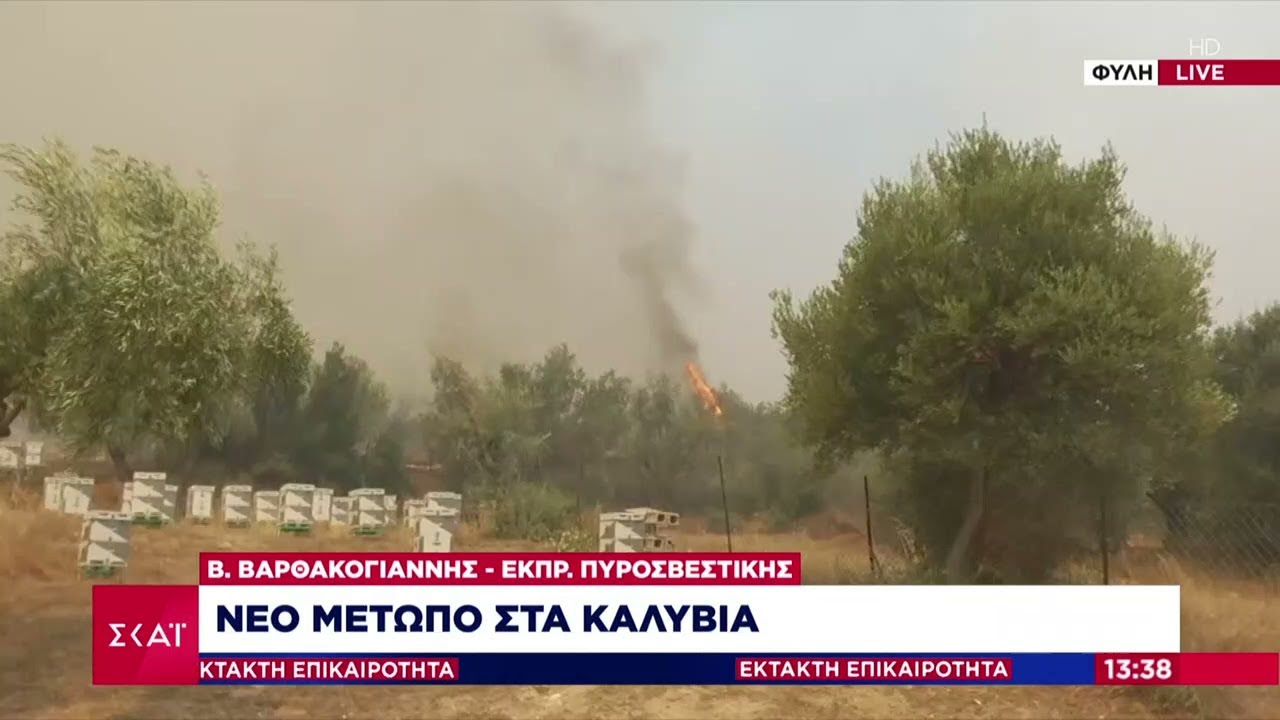 Έκτακτη Επικαιρότητα: Νέο μέτωπο φωτιάς στα Καλύβια | 22/08/2023