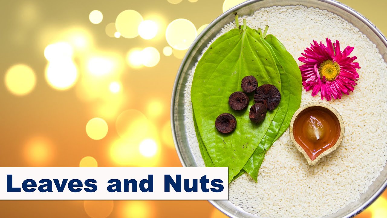 Leaves and Nuts
