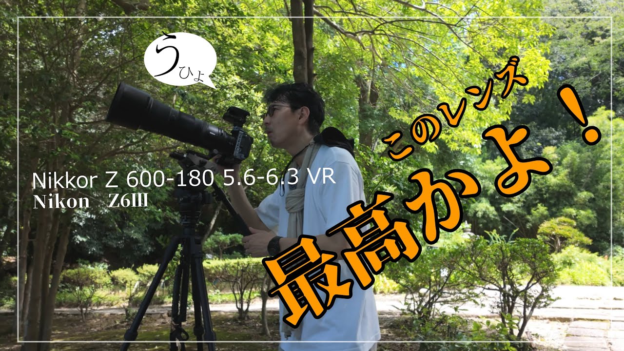 Nikkor z 180-600mm 5.6-6.3 VR のレビュー！超望遠レンズって超楽しいわぁ