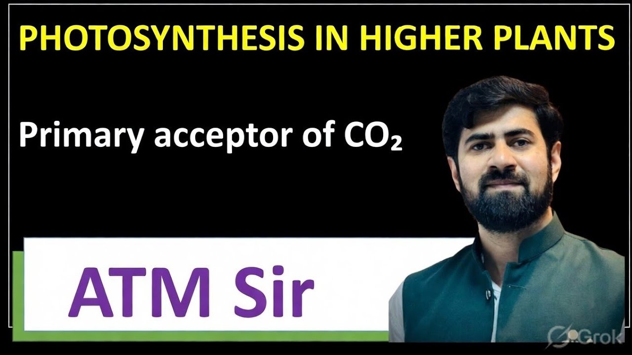 Primary Acceptor of CO₂ Explained | Photosynthesis in Higher Plants | NEET Biology | ATM Sir