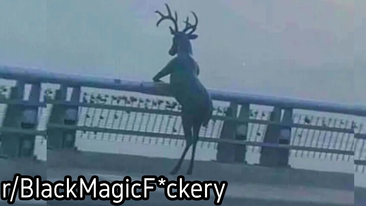 r/BlackMagicF*ckery | He's thinkin about stuff...
