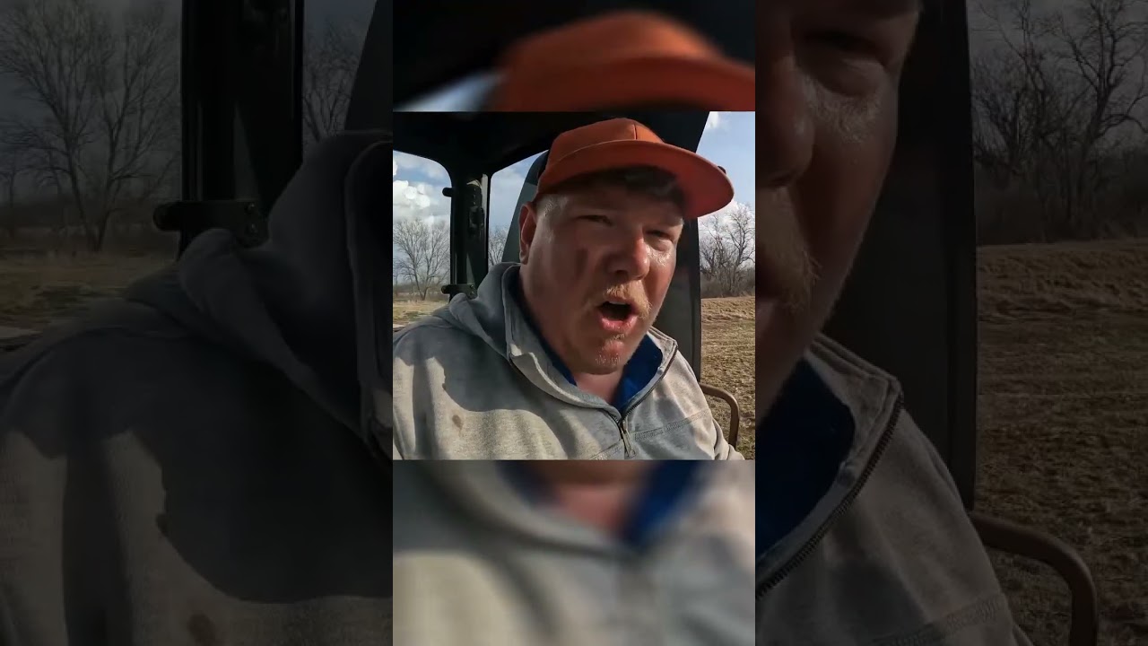 Думаю, я сделал удачную покупку!