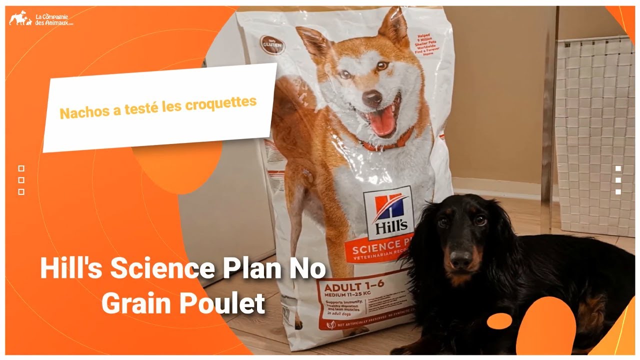 Nachos a testé les croquettes pour chien Hill's Science Plan No Grain