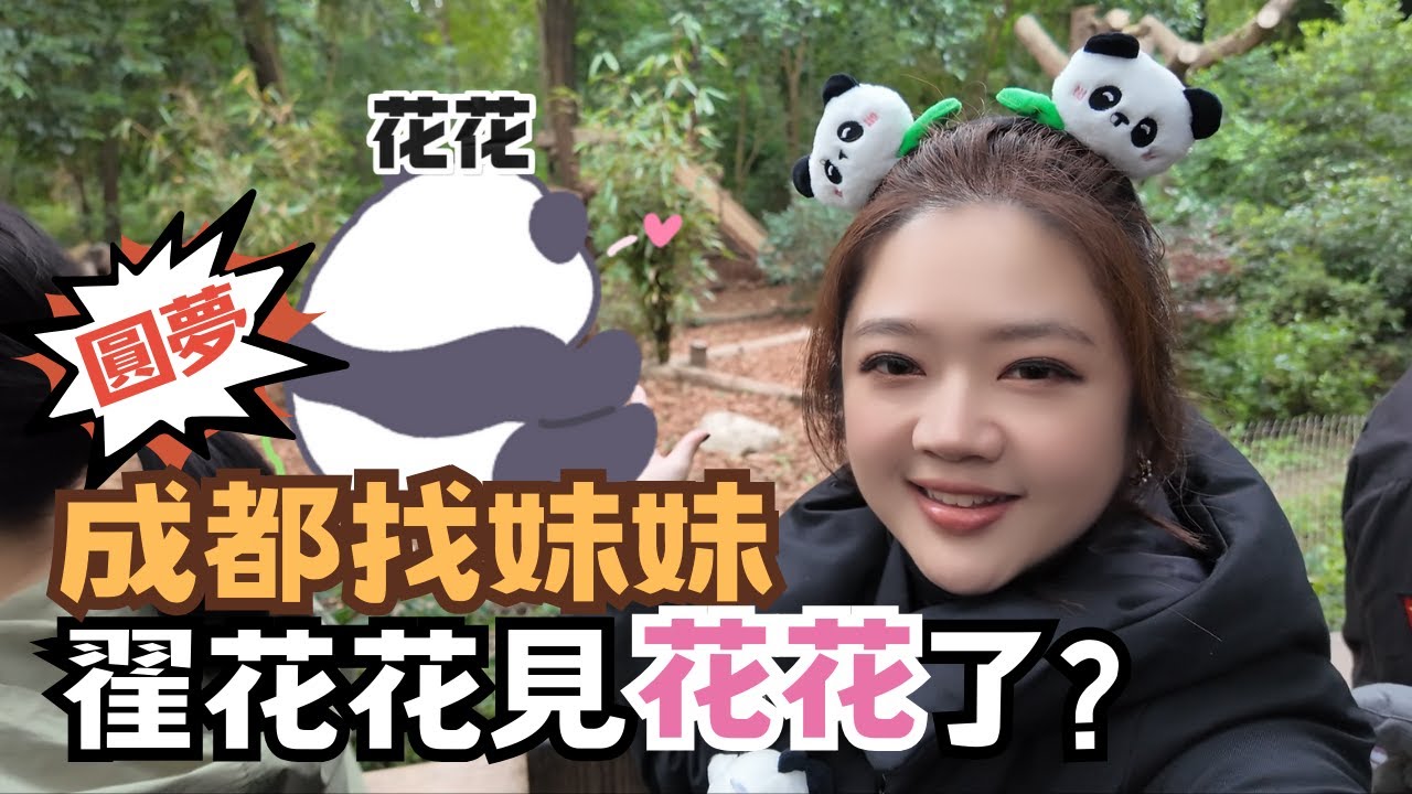 宅宅遊大陸-成都｜圓夢! 姊妹相見? 翟花花到成都熊貓基地看到花花了? #chinatravel  @chaihsuan
