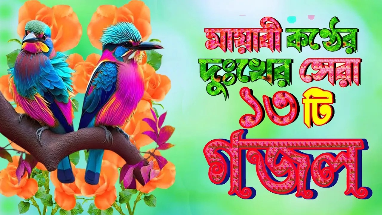 কুকিল কন্ঠের সেরা ১৩টি গজল, Selected Gajal, Noton Gojol, Islamic New Gojol,Bangla Gajal,Dokher Gojol