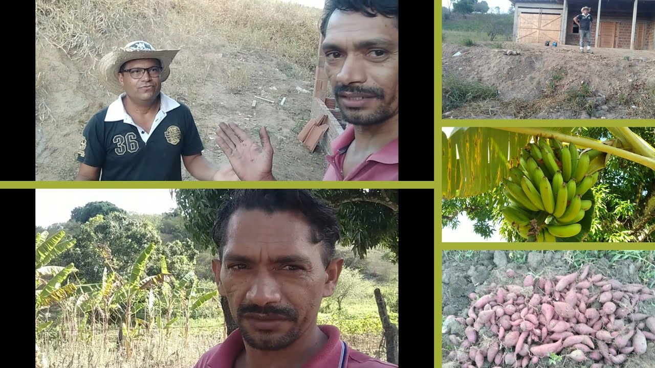 UMA BOA COLHEITA, só agradecer a Deus por tudo 🙏.