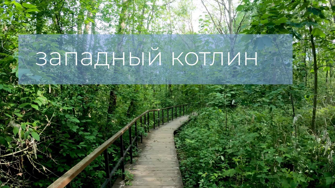 Заказник Западный Котлин. Форт Шанц [4k] ,West Kotlin Nature Reserve. Fort Schantz