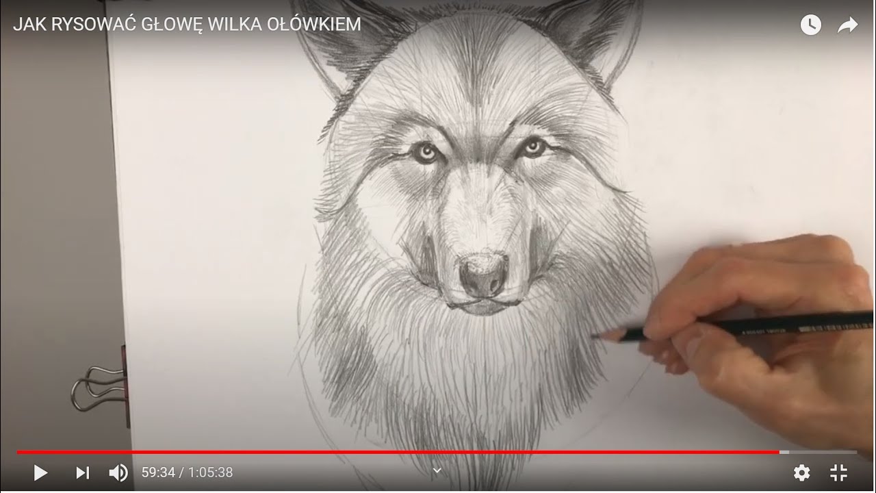 JAK RYSOWAĆ GŁOWĘ WILKA OŁÓWKIEM
