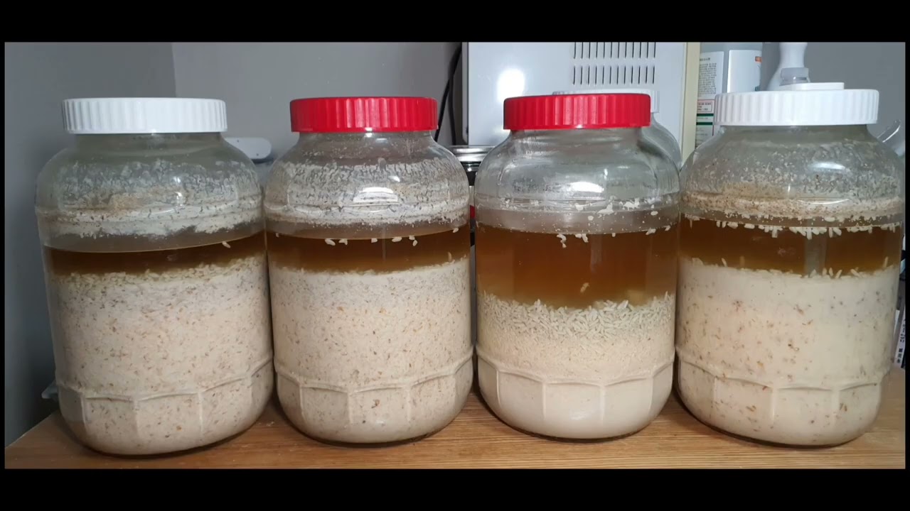 백탄향 석탄주 삼양주 이양주 청주양 비교