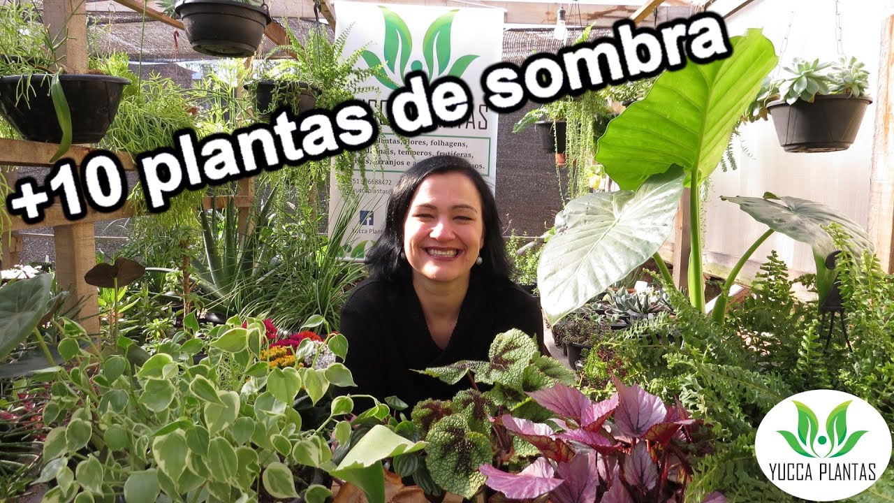 +10 Maravilhosas Plantas de Sombra