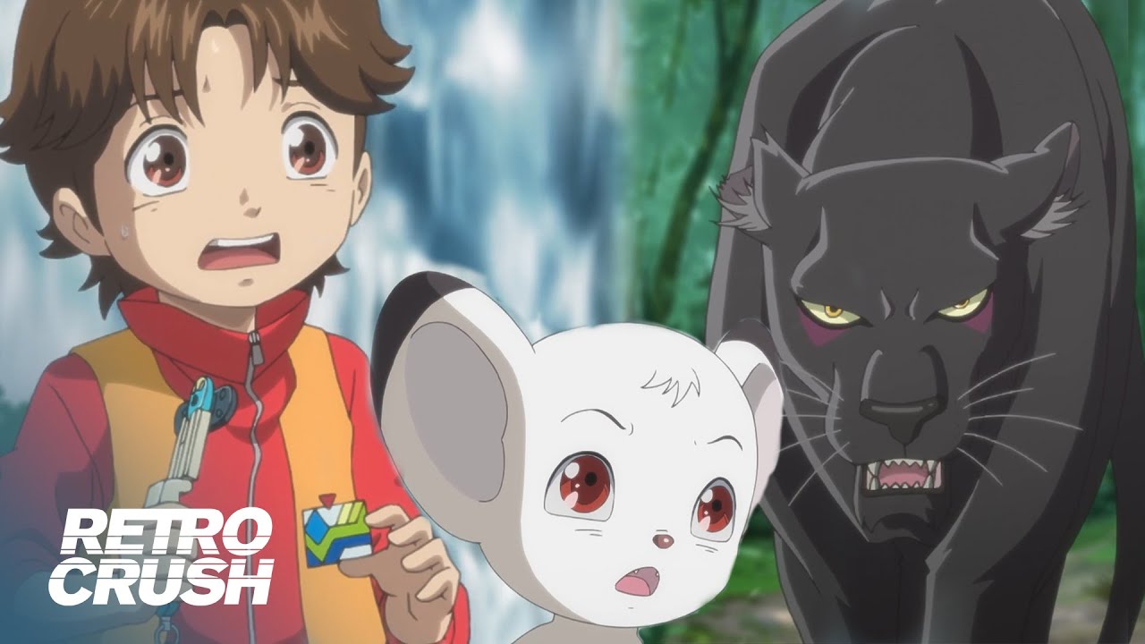 Kid shouldn't have done this to the Black Panther | Osamu Tezuka | Jungle Emperor Leo