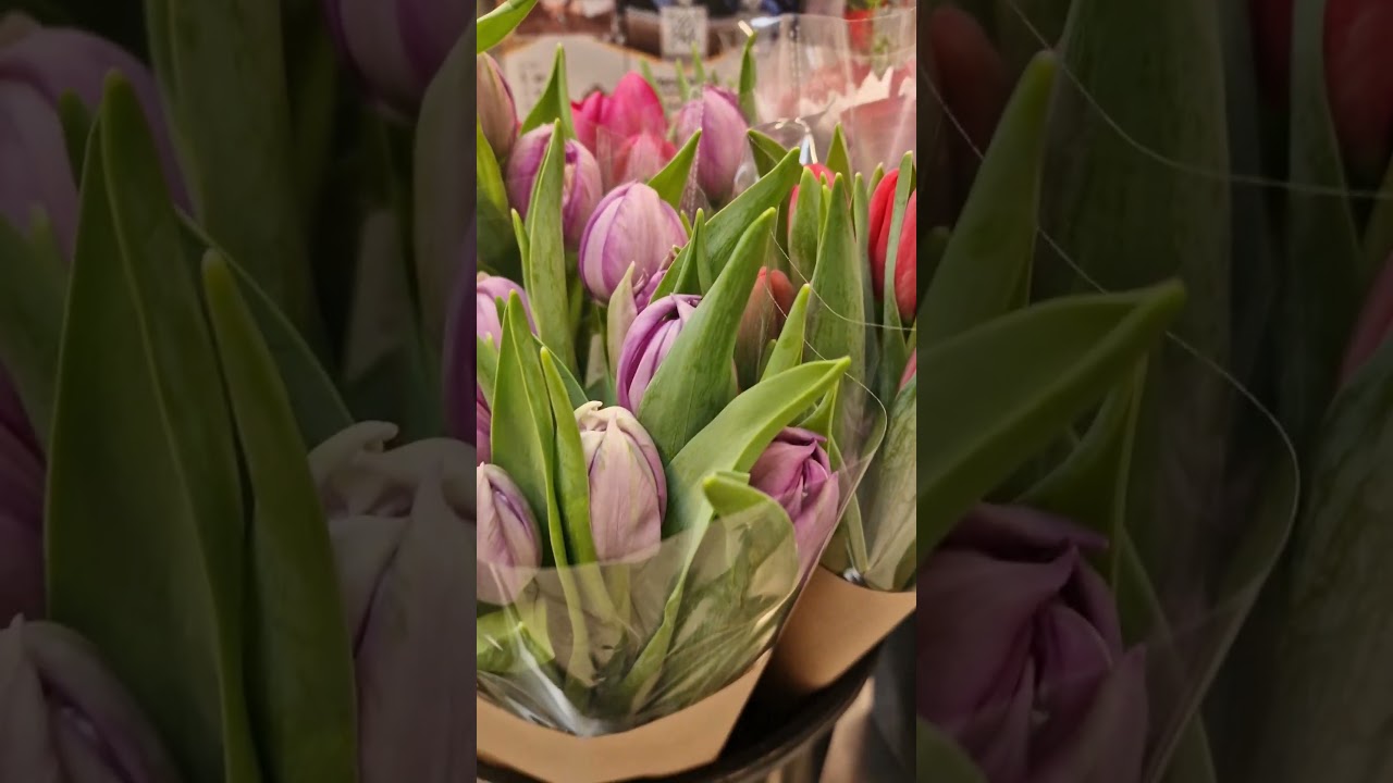#прага2026 #praha #prague #flowers #пойдёмпосмотрим #цветы #праздник #март #travel #pragatimedan