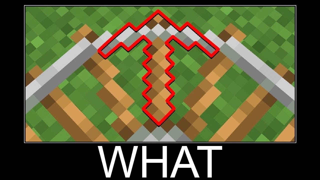 Minecraft WAIT WHAT #2251