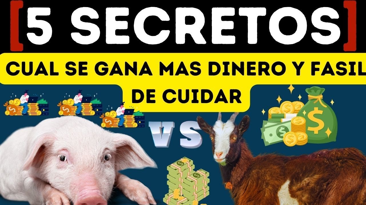 &iquest;Cabras o cerdos? Decisi&oacute;n clave en la inversi&oacute;n