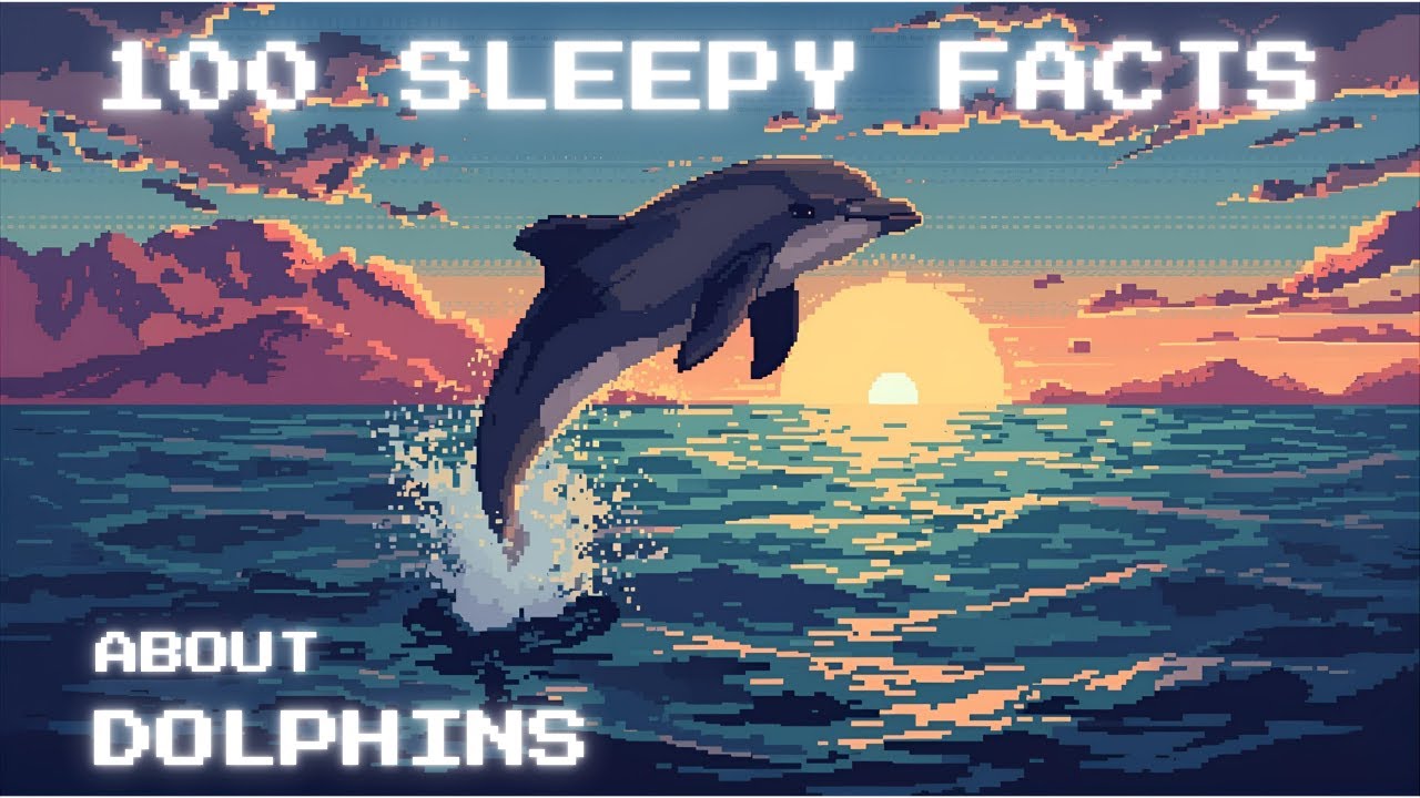 100 Relaxing Dolphin Facts to Fall Asleep To