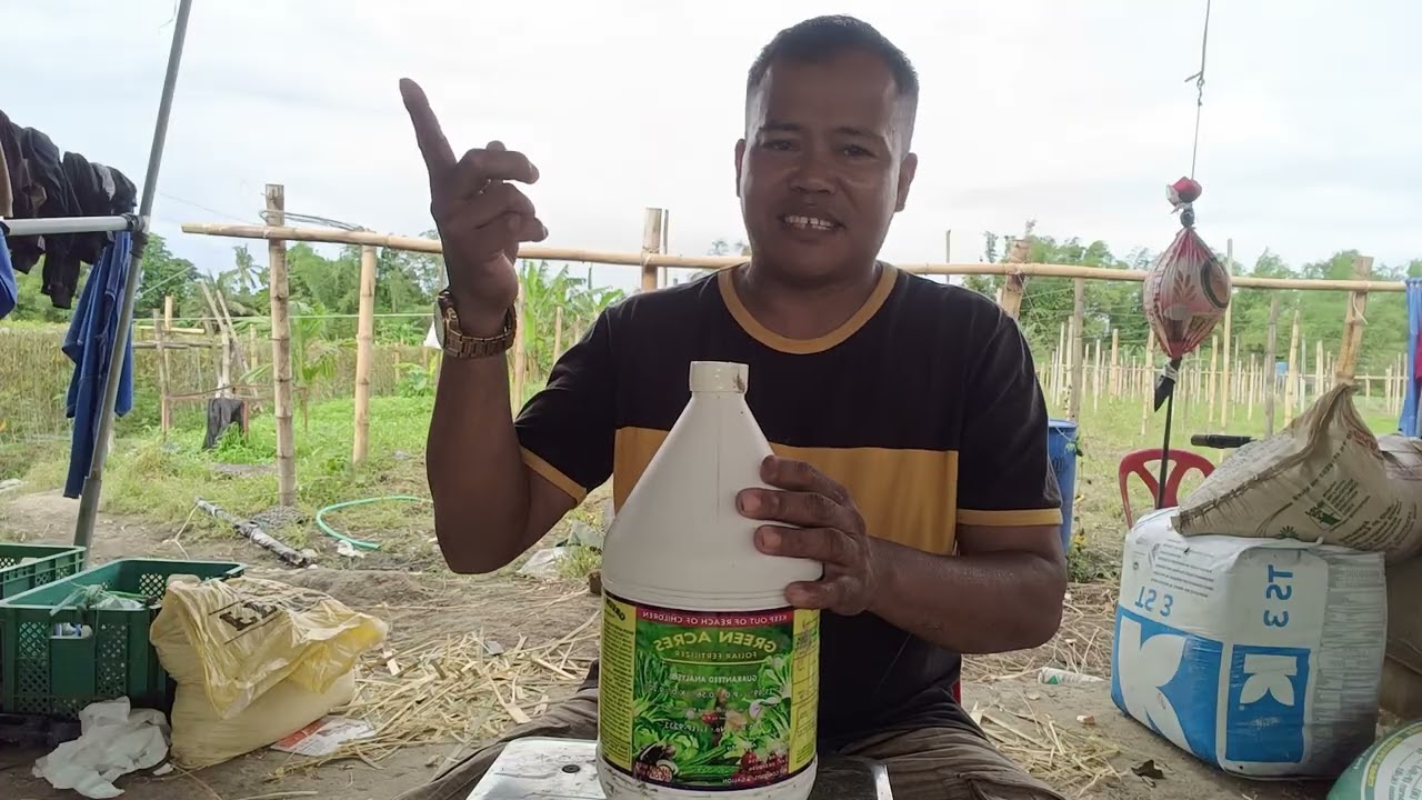 Paano E apply ang mga foliar fertilizer 🥰 Tara  Alamin po natin kon paano 👍