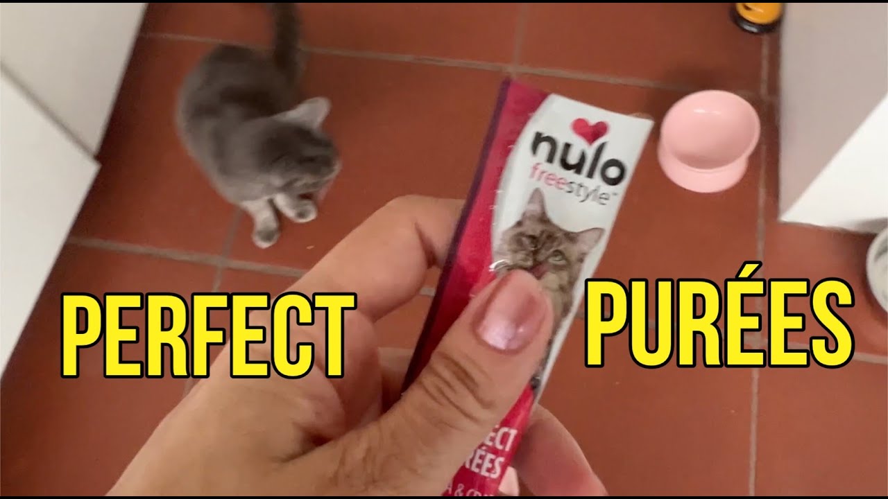 SHOULD YOU BUY? Nulo Freestyle Grain-Free Perfect Purees Premium Wet Cat Treats