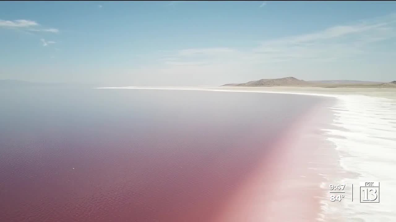 Uniquely Utah: The pink shores of the Great Salt Lake