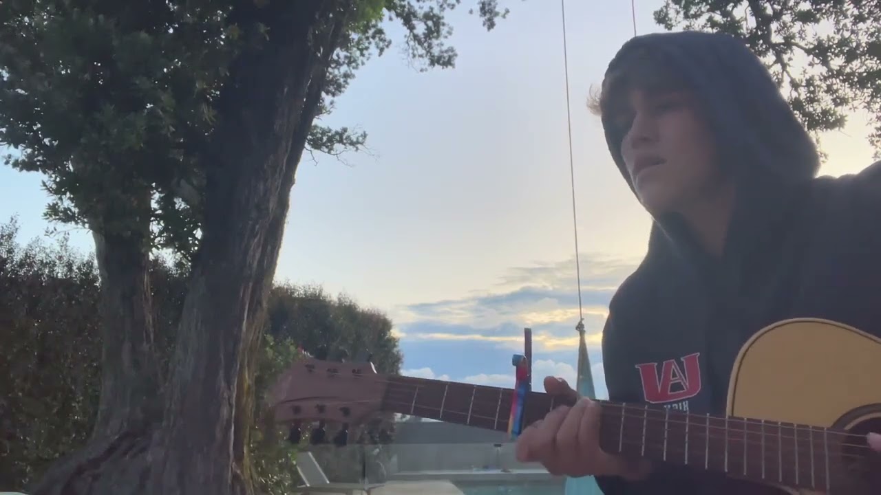 Dandelions - Cover 