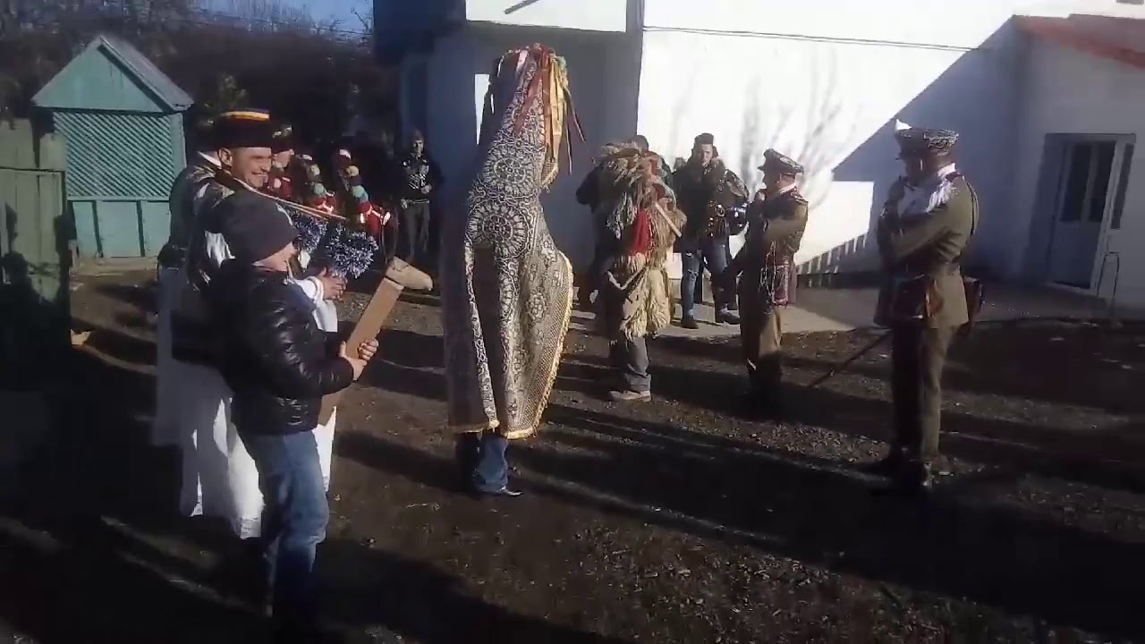 Capra de la Buda /2017