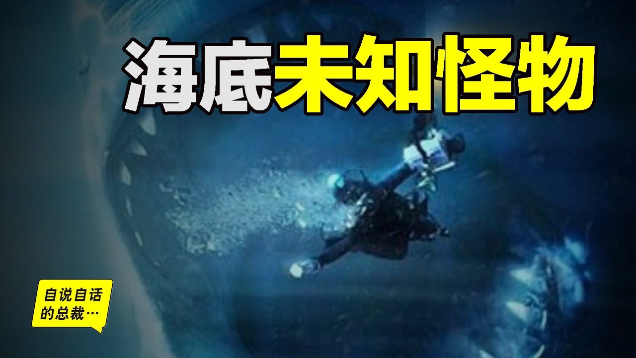 3米長的大白鯊竟離奇消失，是什麼隱秘在深海的角落……|自說自話的總裁