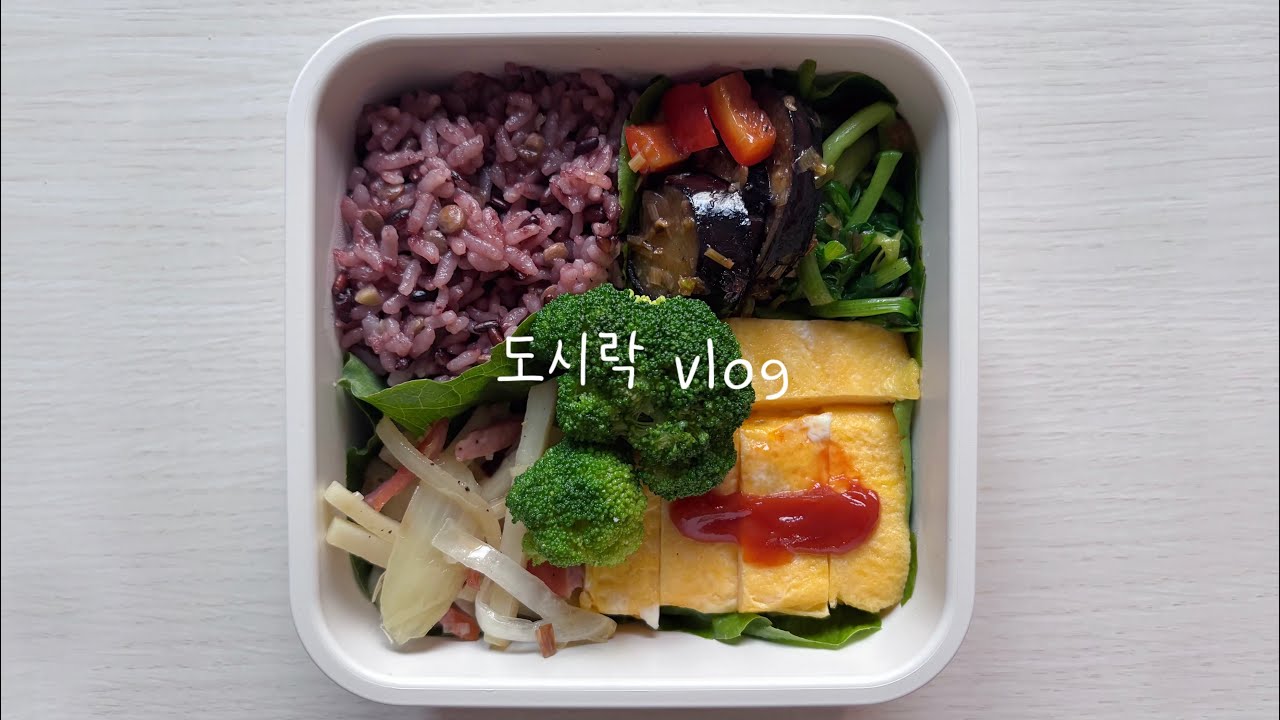 도시락 만들어 먹는 브이로그🍱