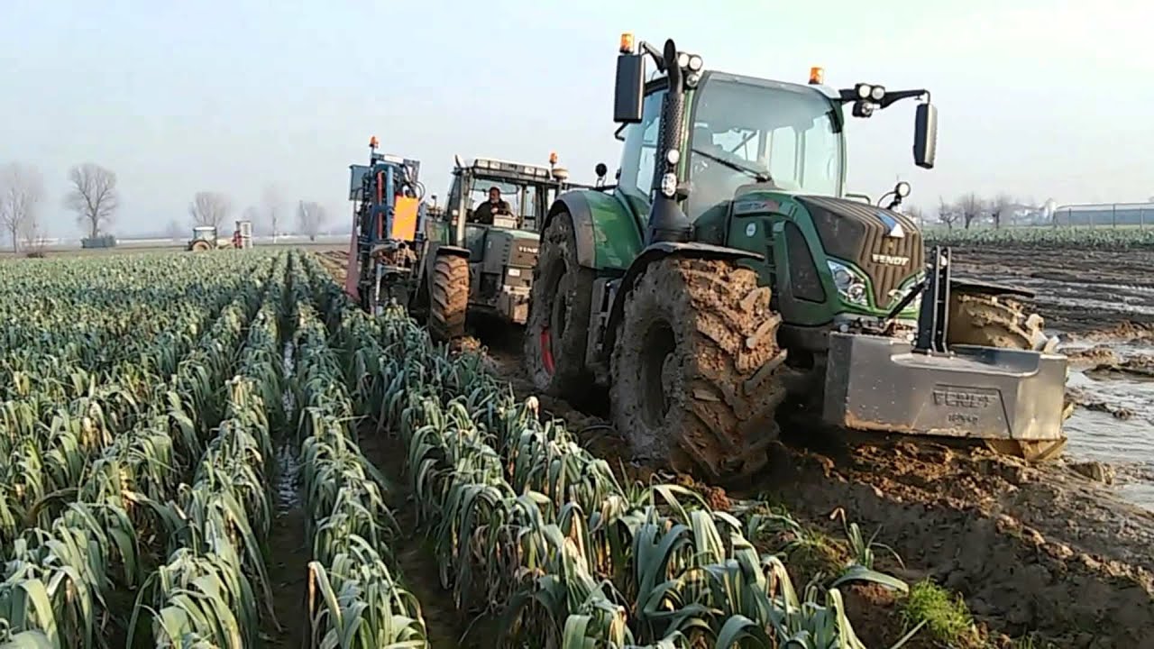 ZIVIANI - FENDT 724 RACCOLTA PORRI 2015