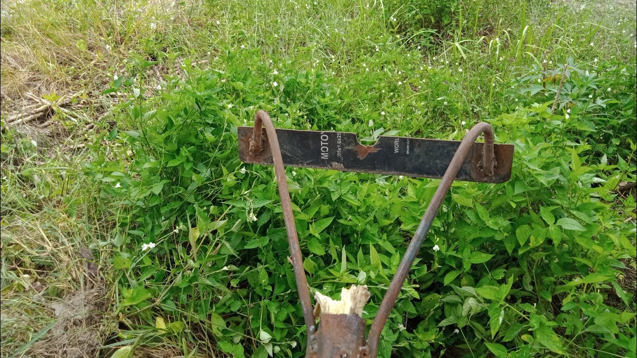 cangkul rumput, bersihkan gulma ringan tajam dan cepat #cangkul # rumput #tajam #kebun