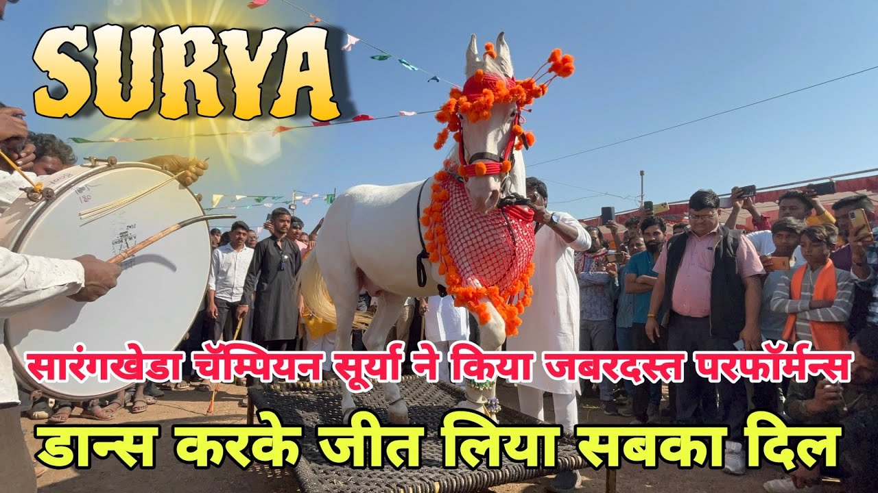मध्य प्रदेश का चॅम्पियन सूर्या ने किया जबरदस्त डान्स का जलवा । Horse Dance in Sarangkheda