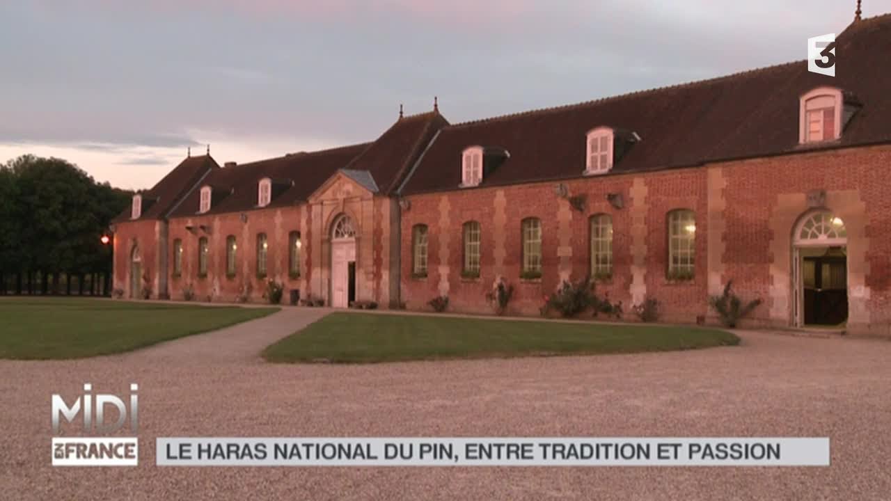 ANIMAUX : Le haras National du pin, entre tradition et passion