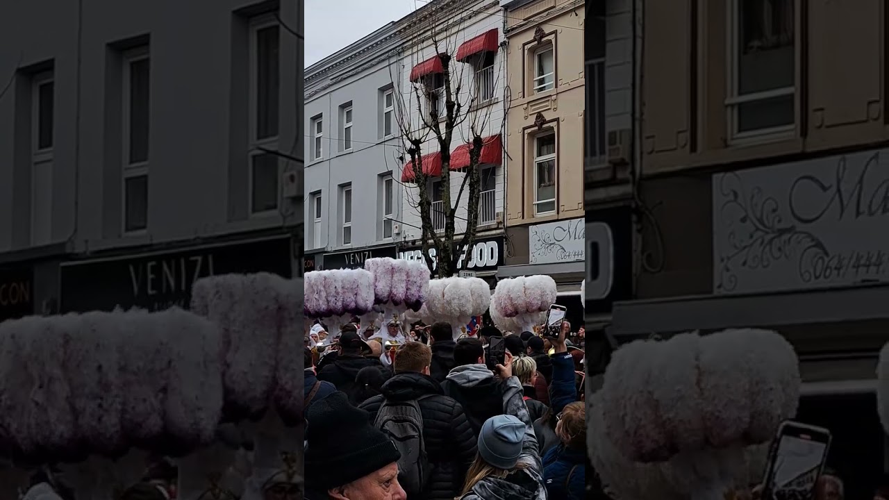 Carnaval de La Louviere 2023 part9