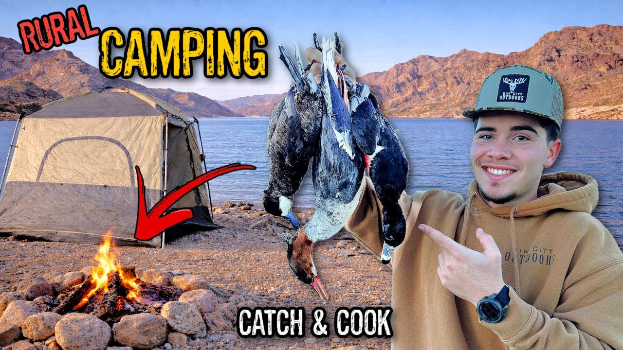 Camping on a River with NO FOOD! (Survival Catch & Cook)