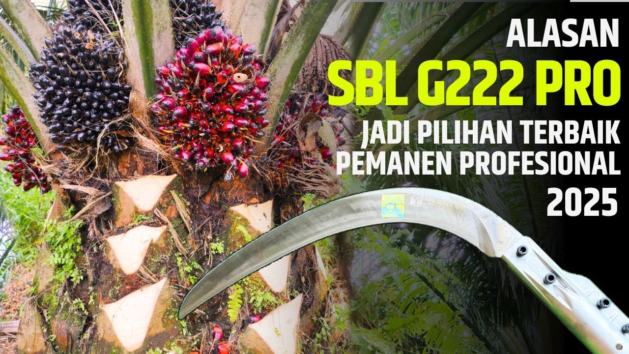 EGREKMU MUDAH TUMPUL? TARIKAN BERAT? MUDAH PATAH? SAATNYA UPGRADE KE SBL G222 PRO! Ini Dia Alasannya