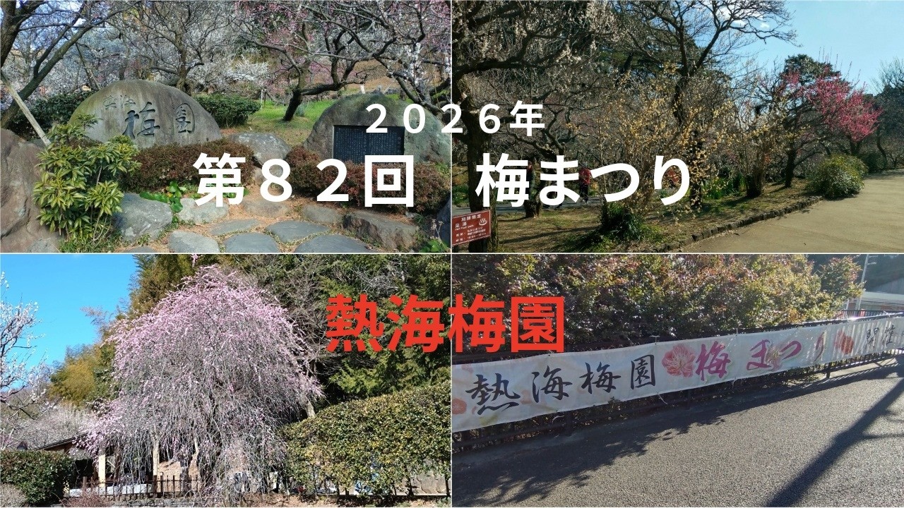 「日本で最も早咲きの梅」  熱海梅園