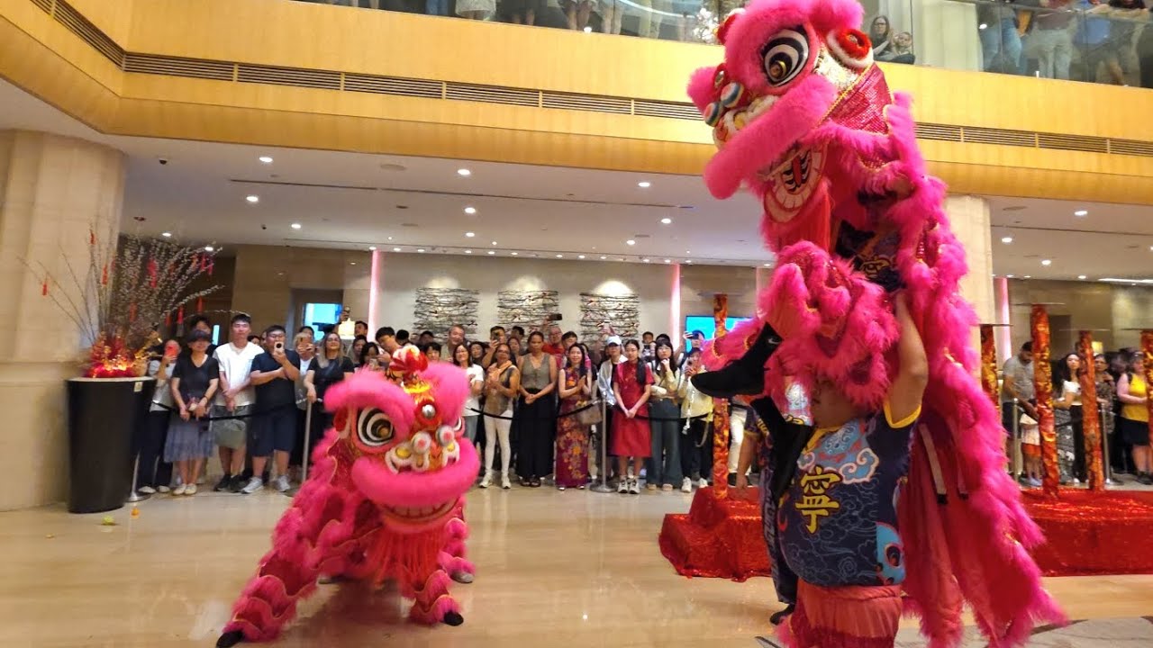 2026 Twin lion dance on Cai Qing at Carlton Hotel Singapore
