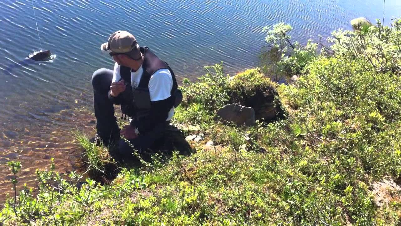Drömfiske i Miekak